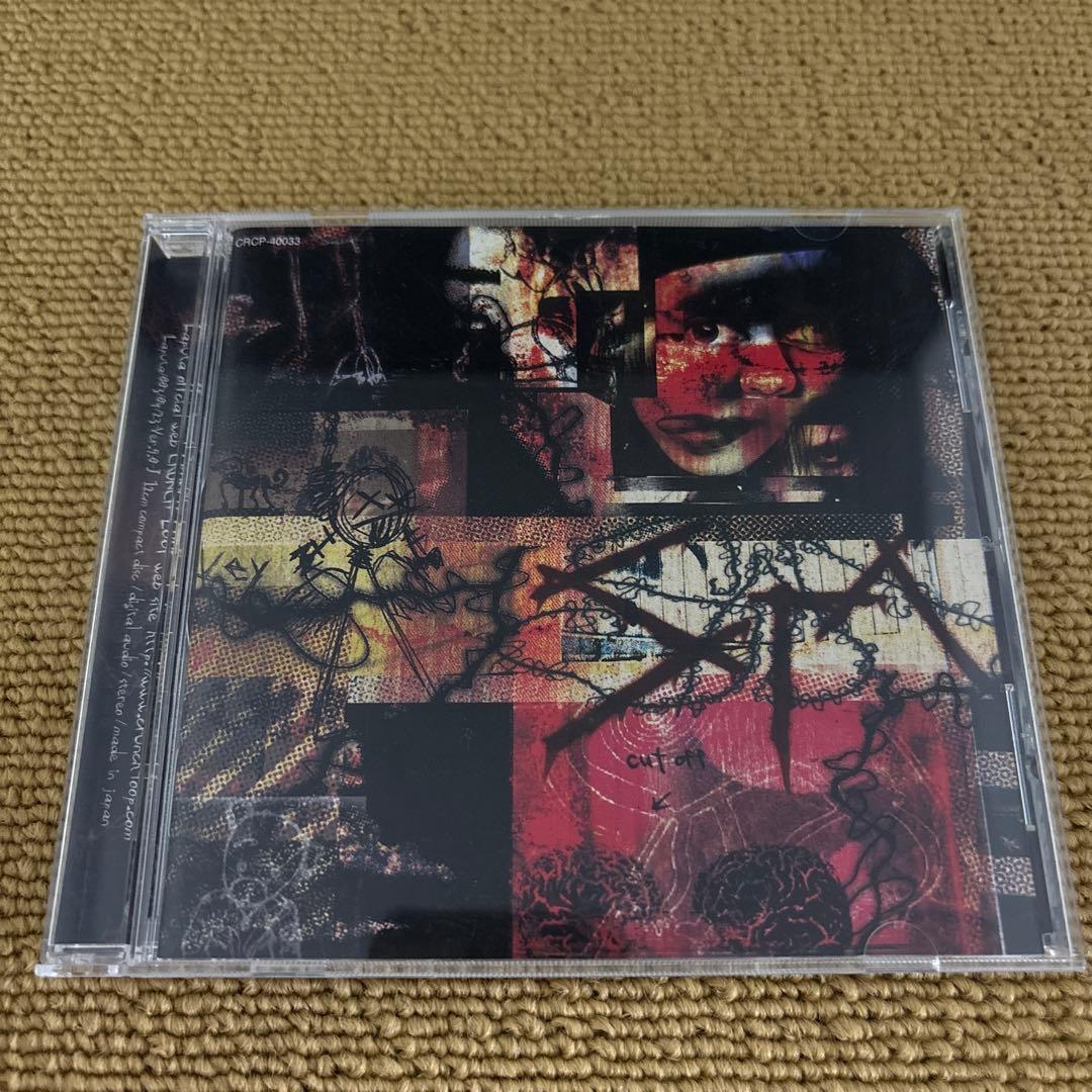 ラピュータ / Laputa アルバム 3タイトルセット - メルカリ