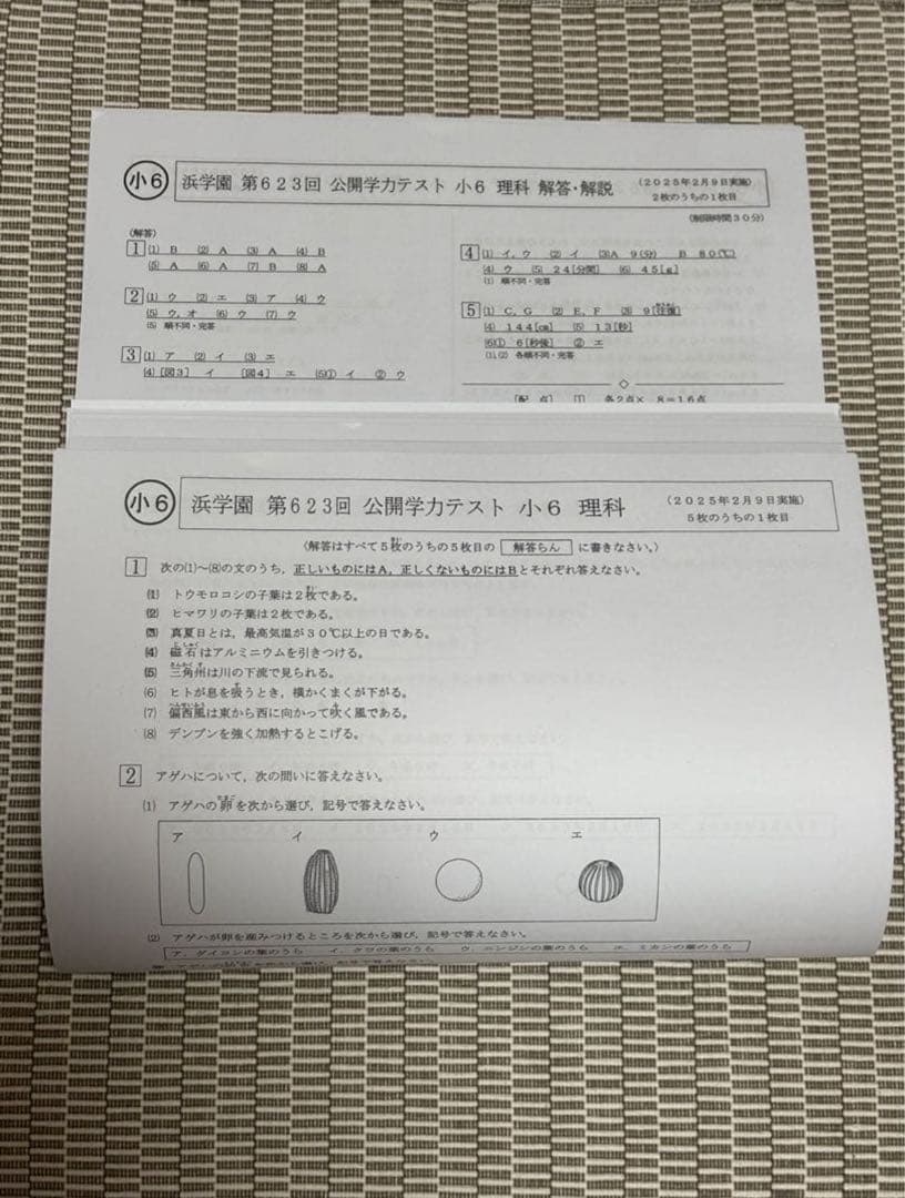 浜学園 小6 公開学力テスト 2025年度 算数・理科 科目別平均点付き
