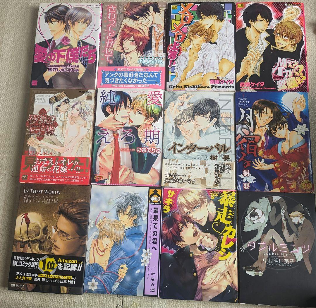 BL漫画まとめ売りバラ売り可12冊
