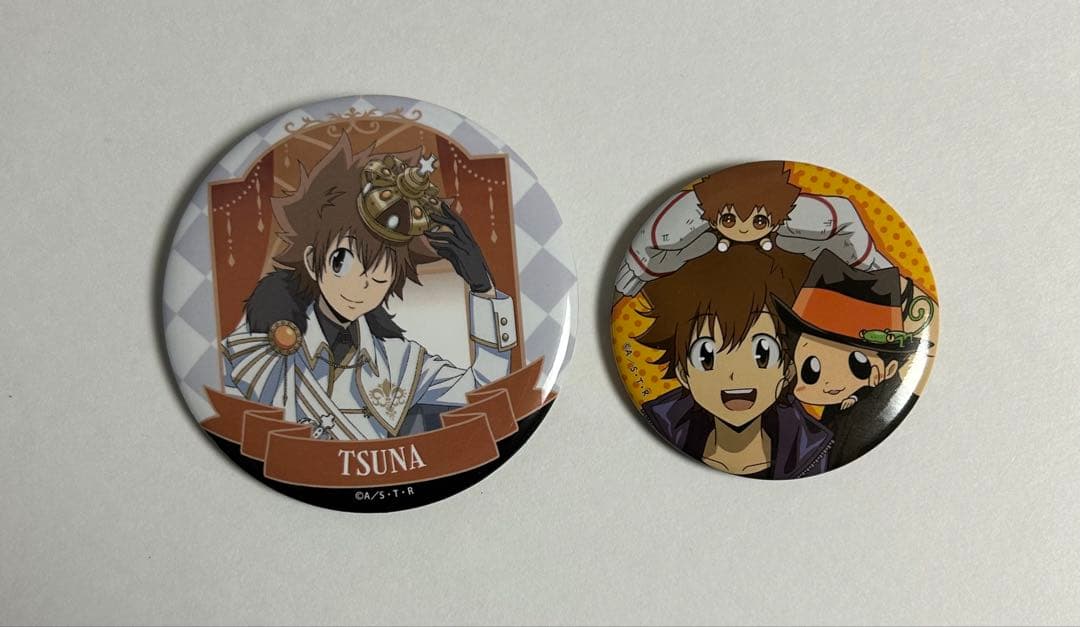 家庭教師ヒットマン REBORN ひこくじ、ラッキー缶バッジ 沢田綱吉