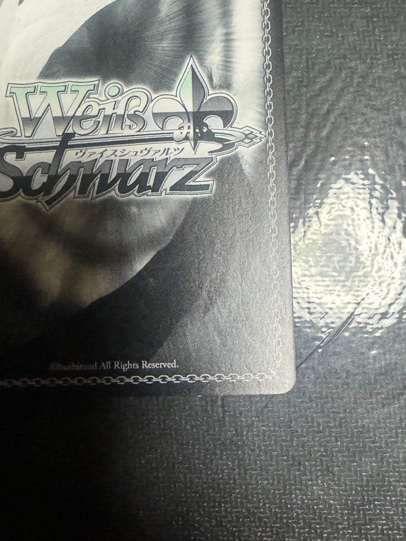 約束のパートナー　沙耶　SSP