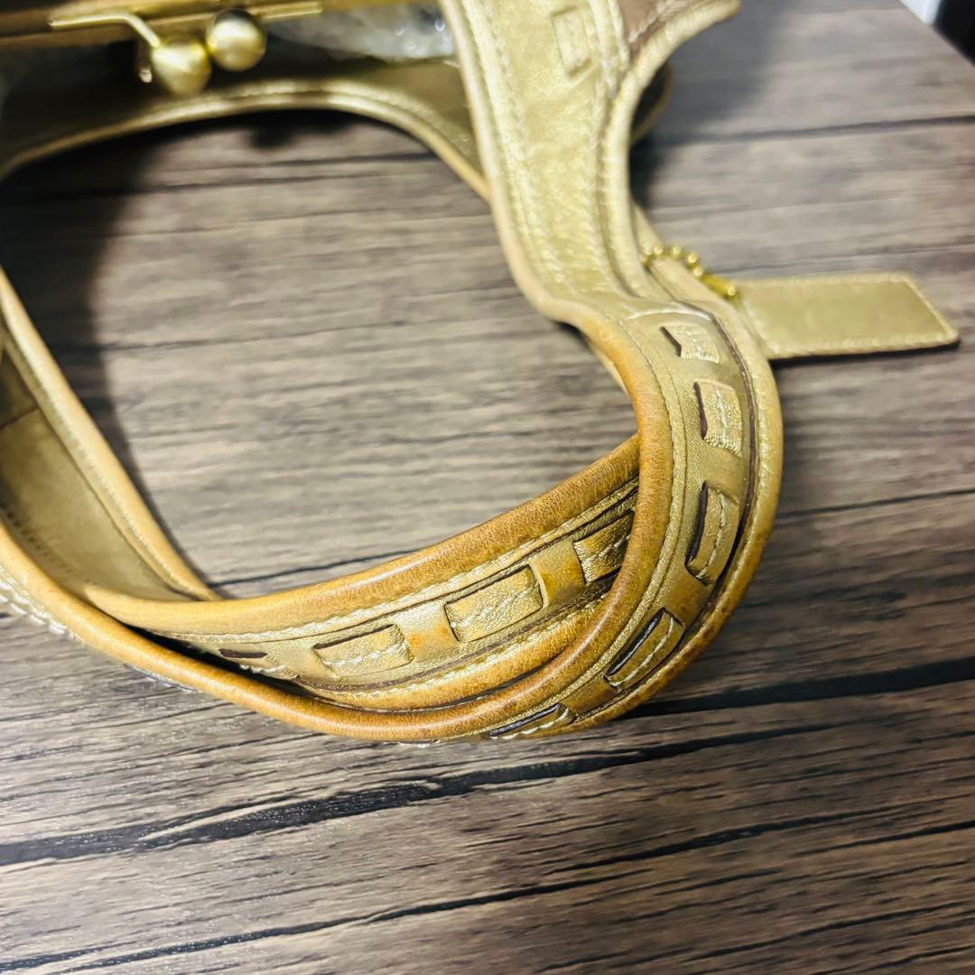 Coach Ergo Pleated Frame Kiss Rock Bag