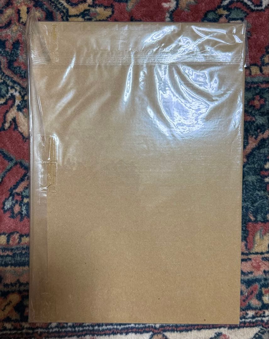 Domino 画集 イラスト 植田亮 七瀬葵 MAKOTO2號 尾崎弘宜 絶版