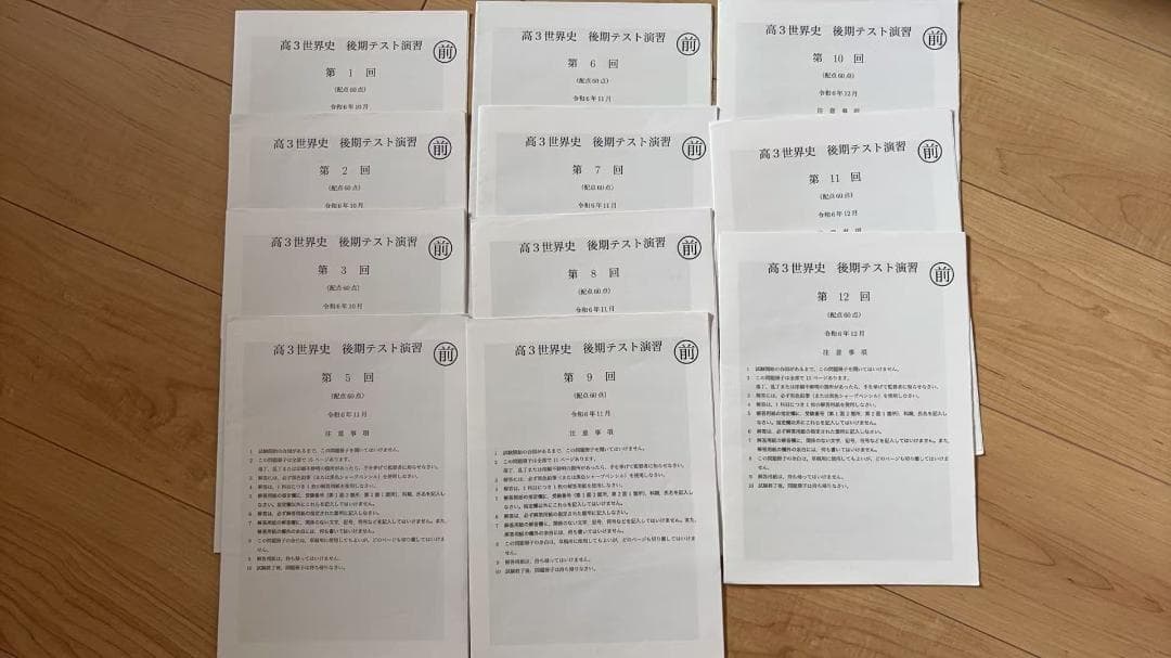 鉄緑会　高3世界史　後期テスト演習全13回（４回目抜け、13回目演習分抜け） 鉄緑会 入試化学演習 第1～13回/化学受験講座 確認テスト 後期第2～13