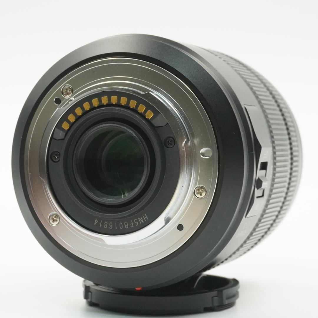 レンズ(ズーム) Panasonic G VARIO 14-140mm F3.5-5.6