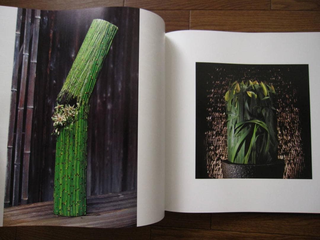 Leafing throuth Flowers DANIEL OST サイン入り - メルカリ