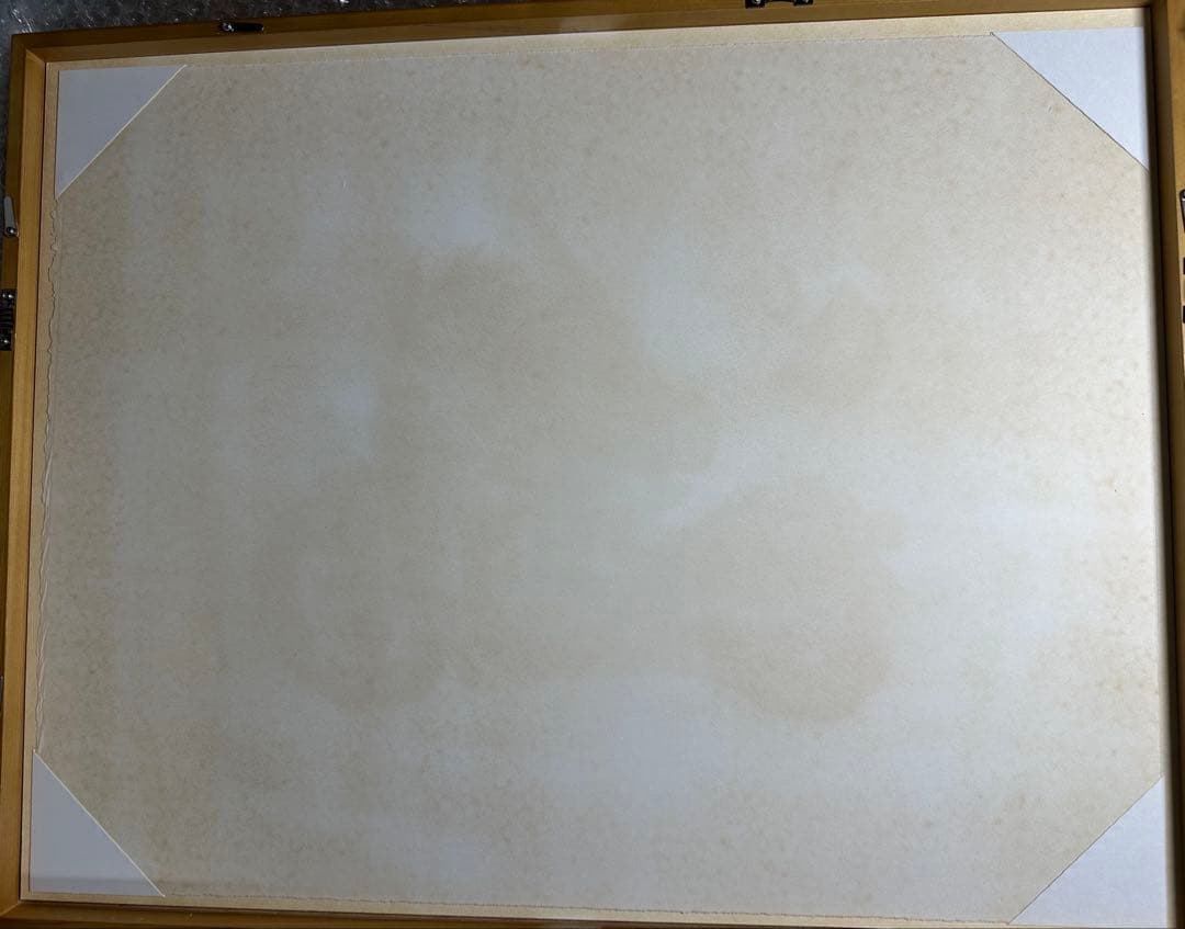 ドラゴンボール リトグラフ 孫悟空 鳥山明 直筆サイン 世界展 200枚