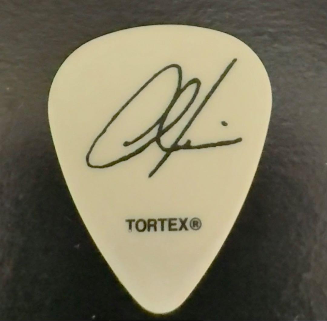 マルーン5 ギターピック　Maroon 5 Amazon | Perri's マルーン5 ピック MAROON 5 12枚セット LP-12-MAR1N