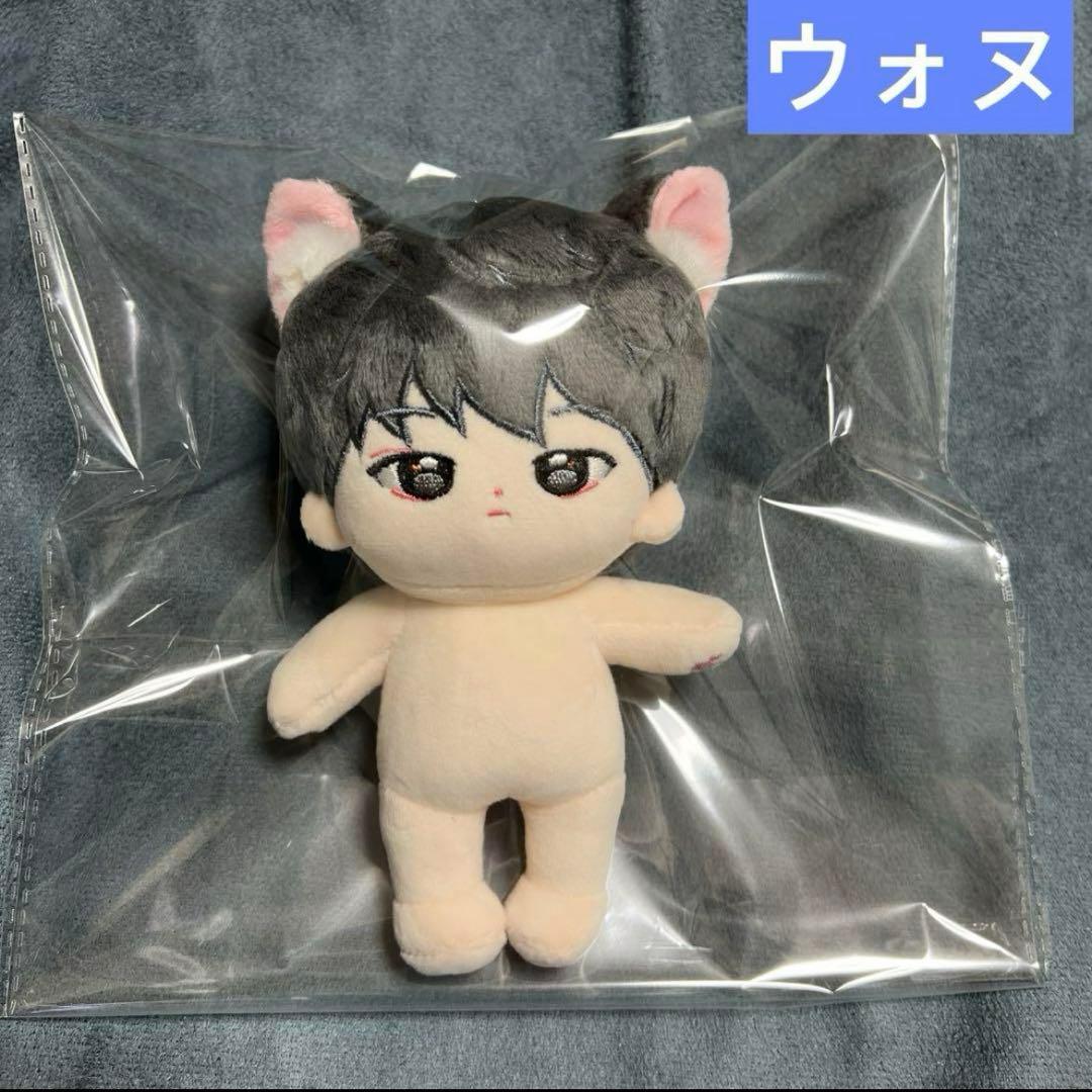 ウォヌ ぬいぐるみ 15cm 新品 マスター セブチ seventeen - メルカリ