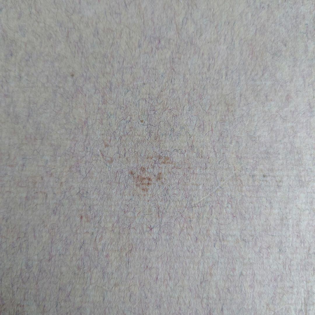 【超希少】本の中に生きる女たち