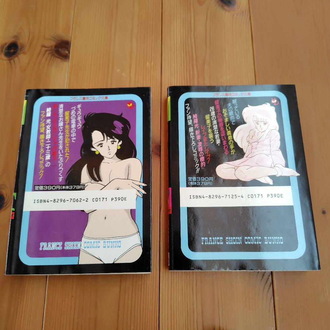 希少 留美子先生大ピンチ！留美子奥様大ピンチフランス書院コミック文庫