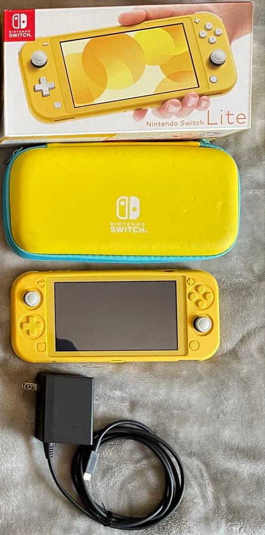 リーゼン党 York Revolution