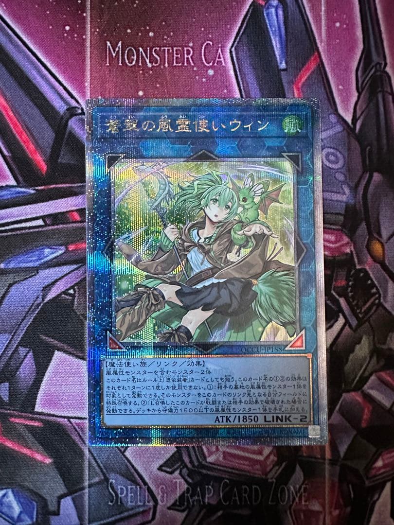 遊戯王　蒼翠の風霊使い ウィン Amazon.co.jp: 遊戯王カード 蒼翠の風霊使い ウィン(25th シークレット