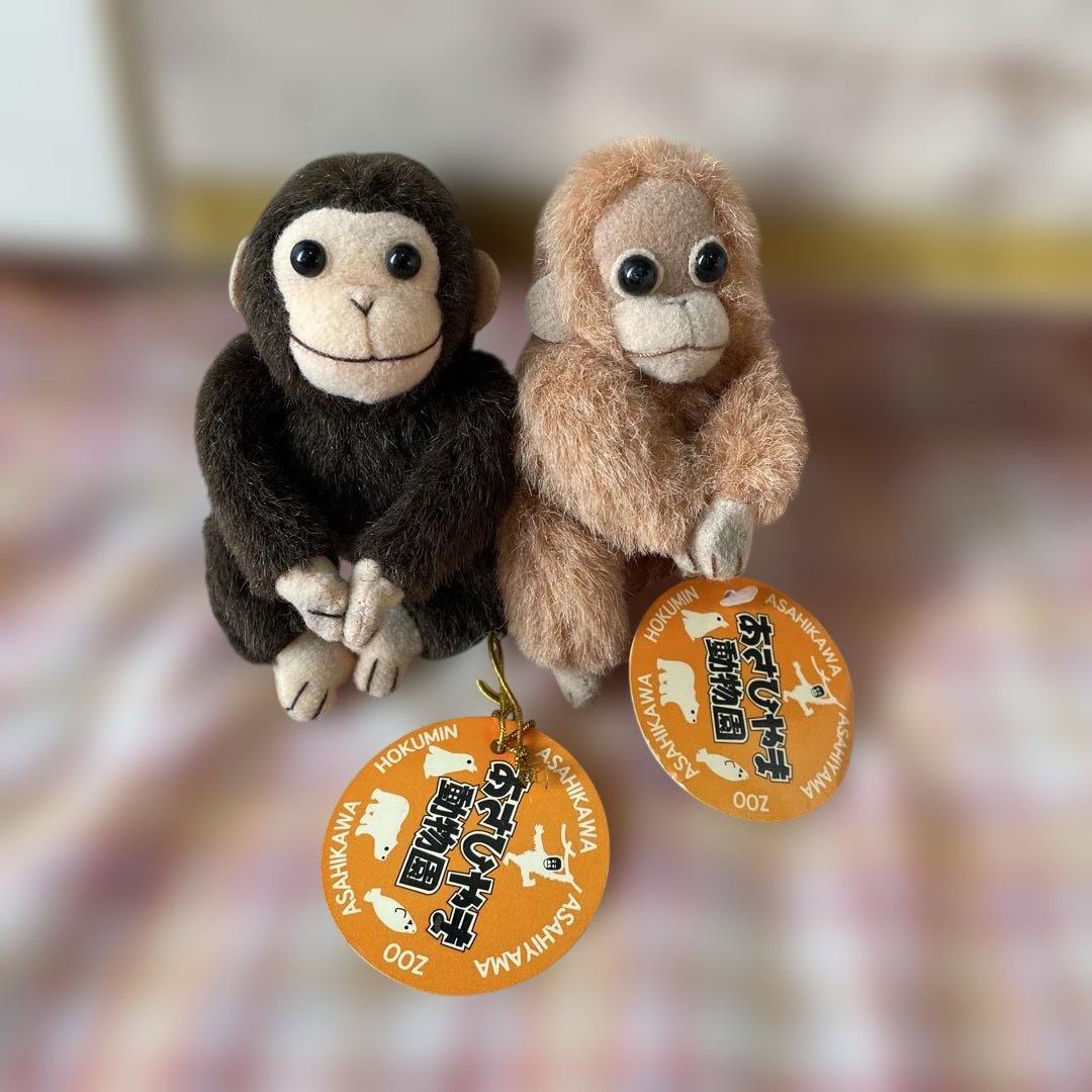 あさひかわ動物園 サル さる 猿 マスコット ぬいぐるみ 2体セット