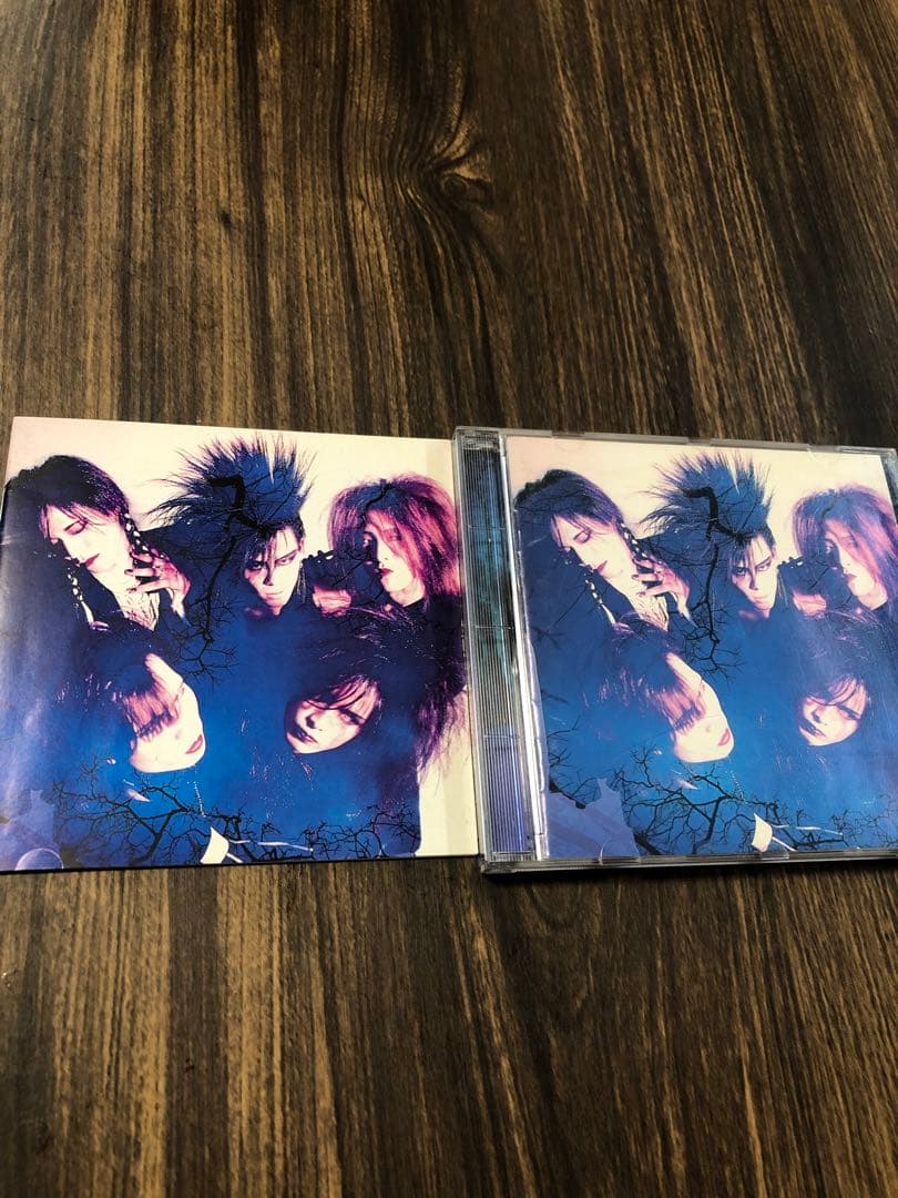 LUNA SEA インディーズ 初回限定写真集付 - メルカリ