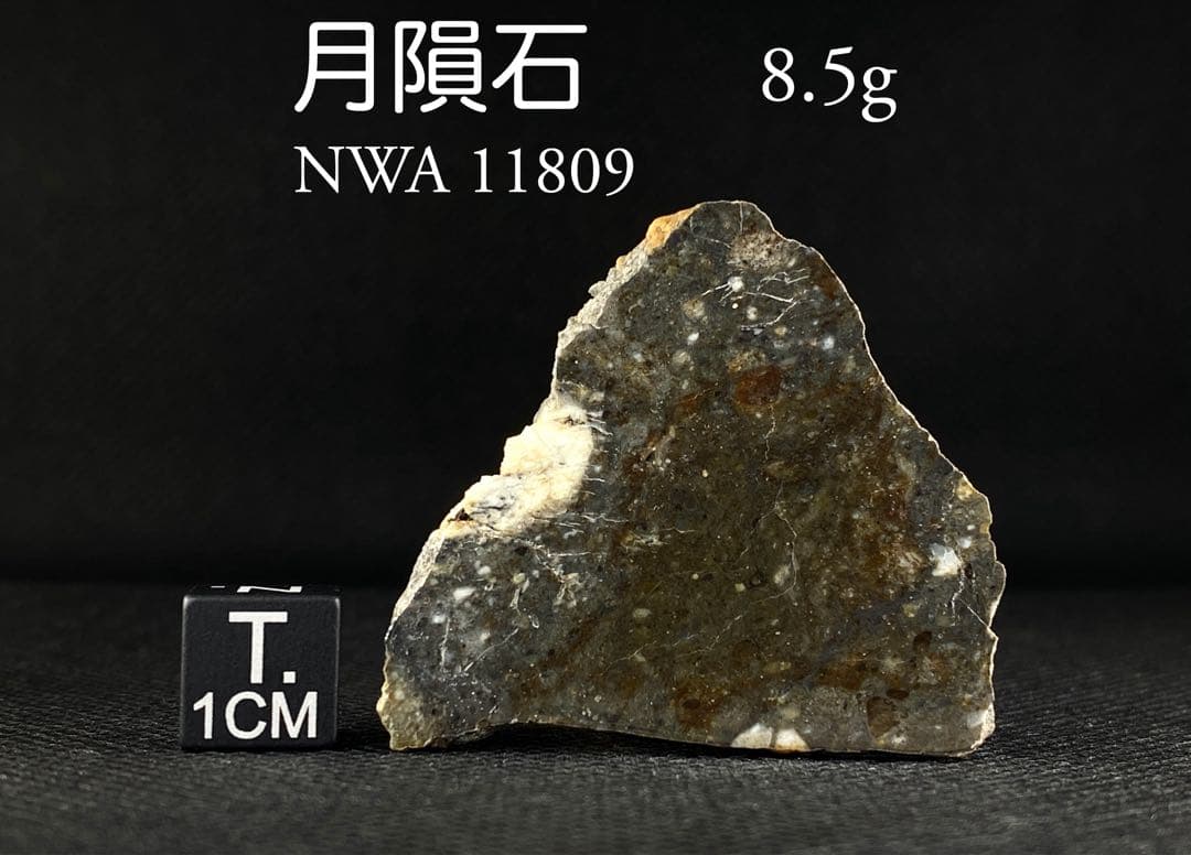 月隕石 8.5g 貴重 NWA11809 Lunar メテオライト 月由来 隕石