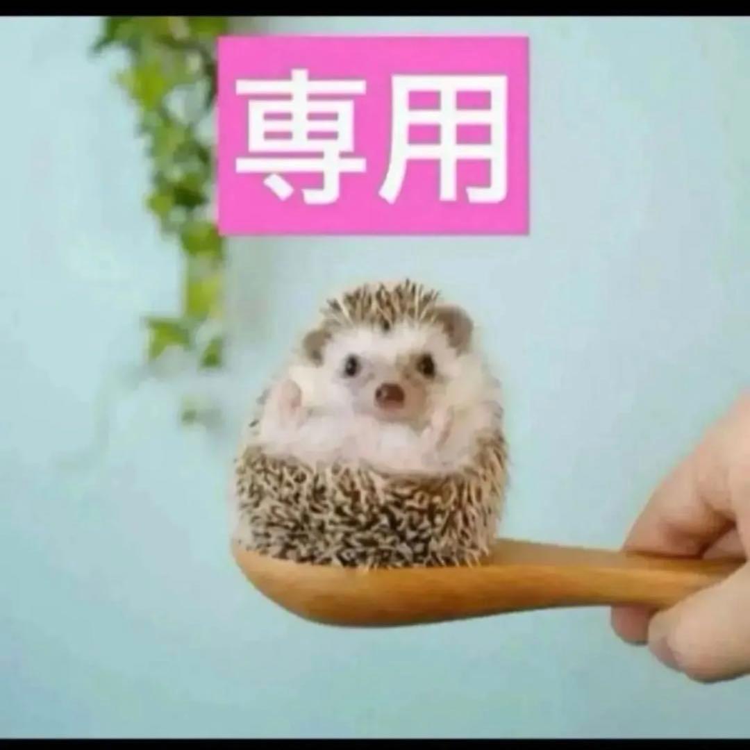 2点、スノーセラム ディオール スノー エッセンス オブ ライト セラム(薬用美容液)[医薬部