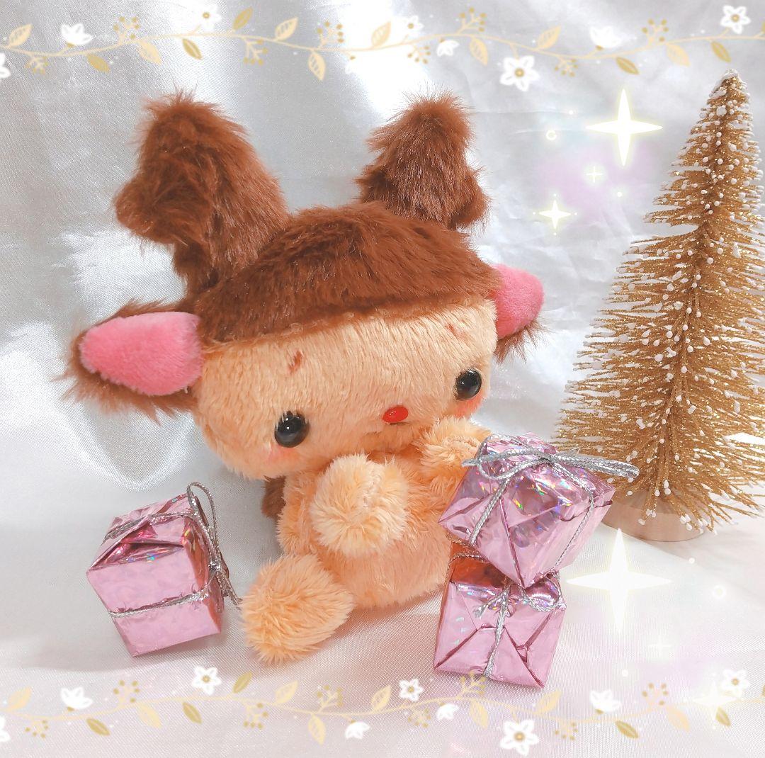 コリスマス 人懐っこい子.*・゜