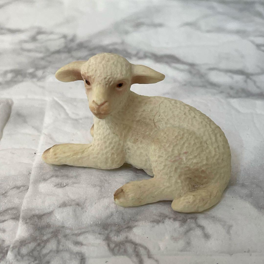 シュライヒ ヒツジ 仔ひつじ フィギュア 子ひつじ Schleich 動物 羊