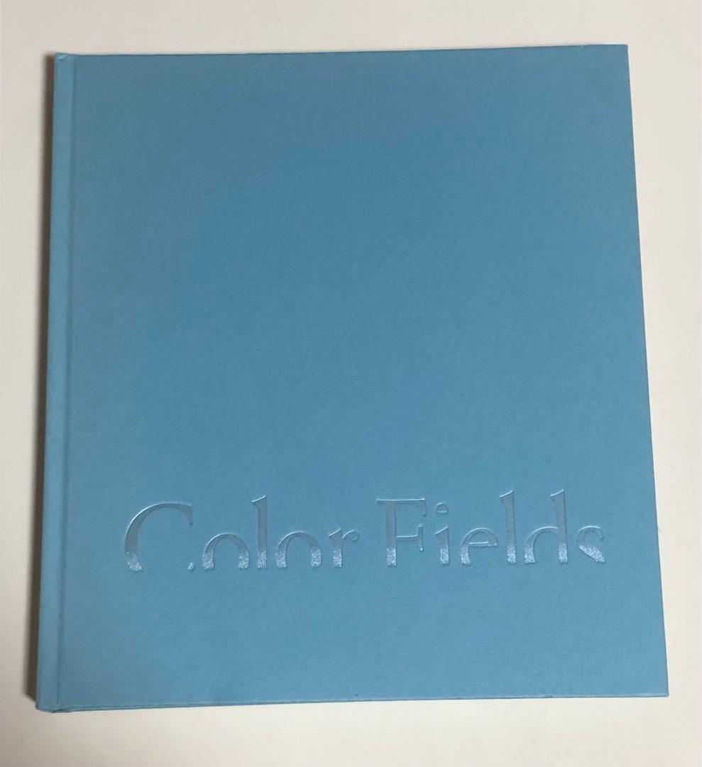 カラーフィールド 色の海を泳ぐ 川村DIC記念美術館 図録 - メルカリ