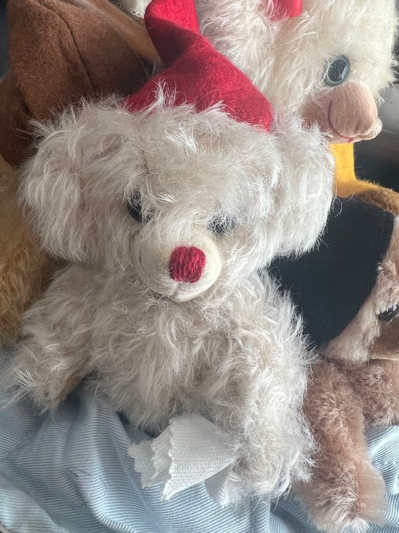 メリーソート⭐︎チーキーシリアルナンバー10 - メルカリ