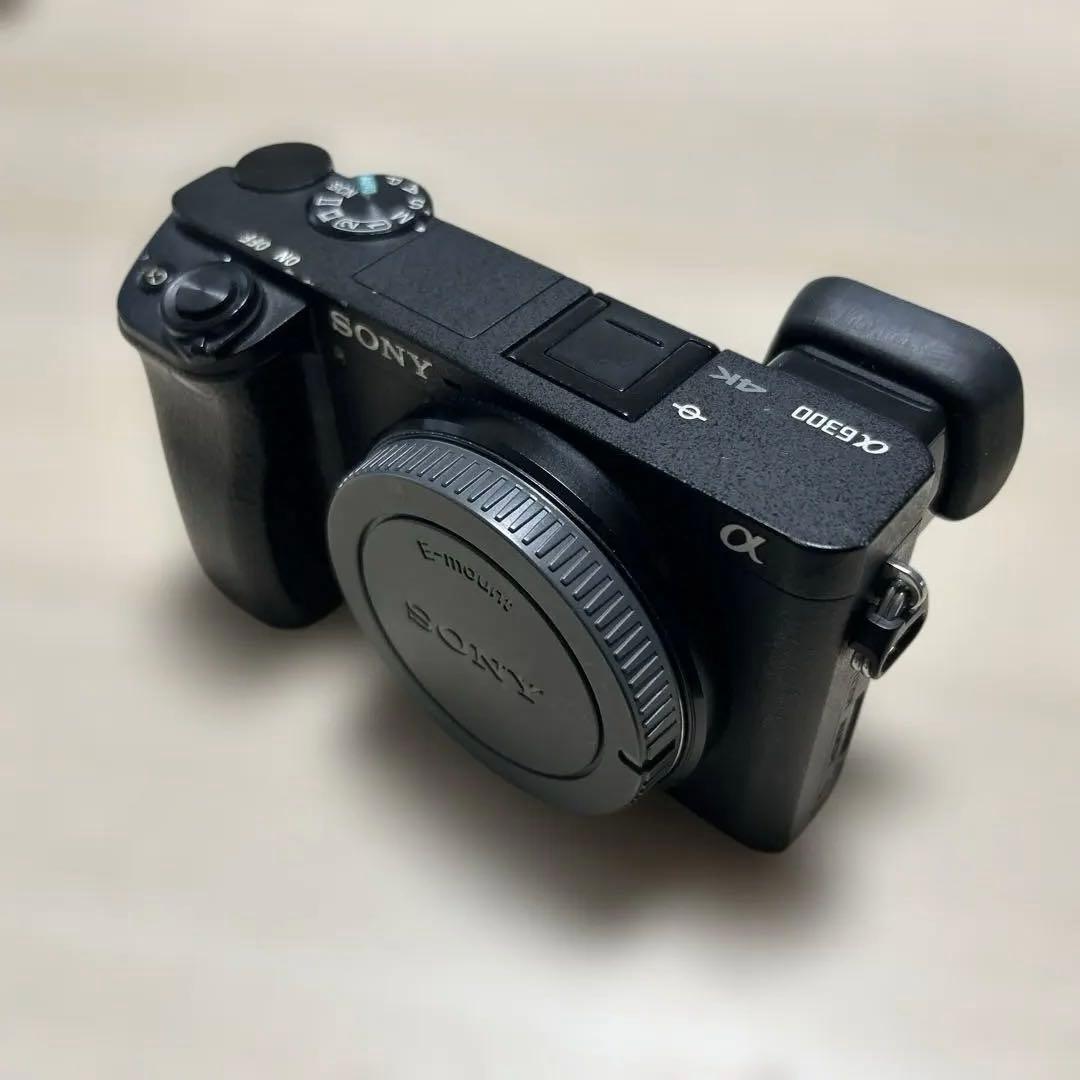 ひ*り様 SONY α6300 ミラーレスカメラ 4K動画撮影 ひ*り様 SONY α6300 ミラーレスカメラ 4K動画撮影 ひ*り様 SONY α6300