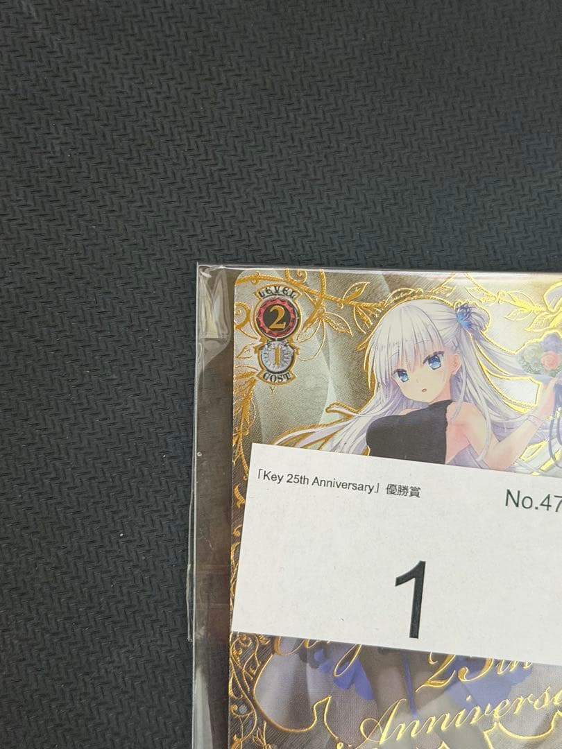 CXチャレンジ Key PR＋ 海を見つめる少女 しろは 冬の到来しろは&うみ