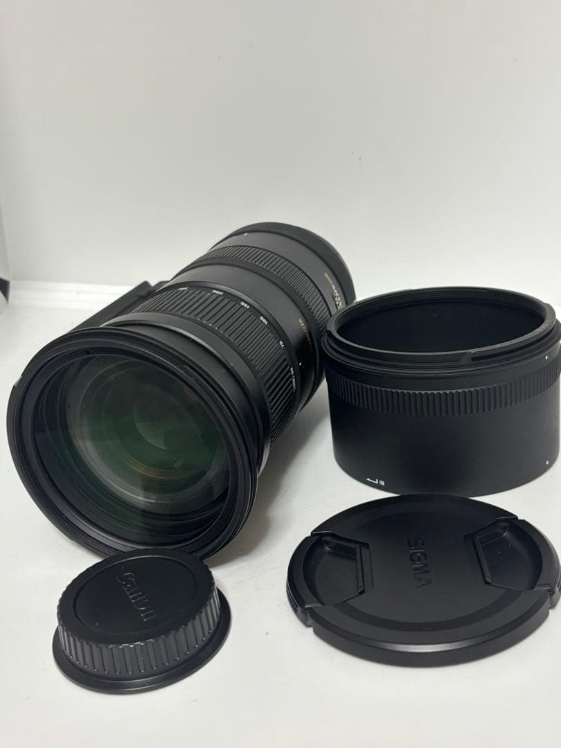 SIGMA APO 50-500mm F4.5-6.3 OS Canon用
