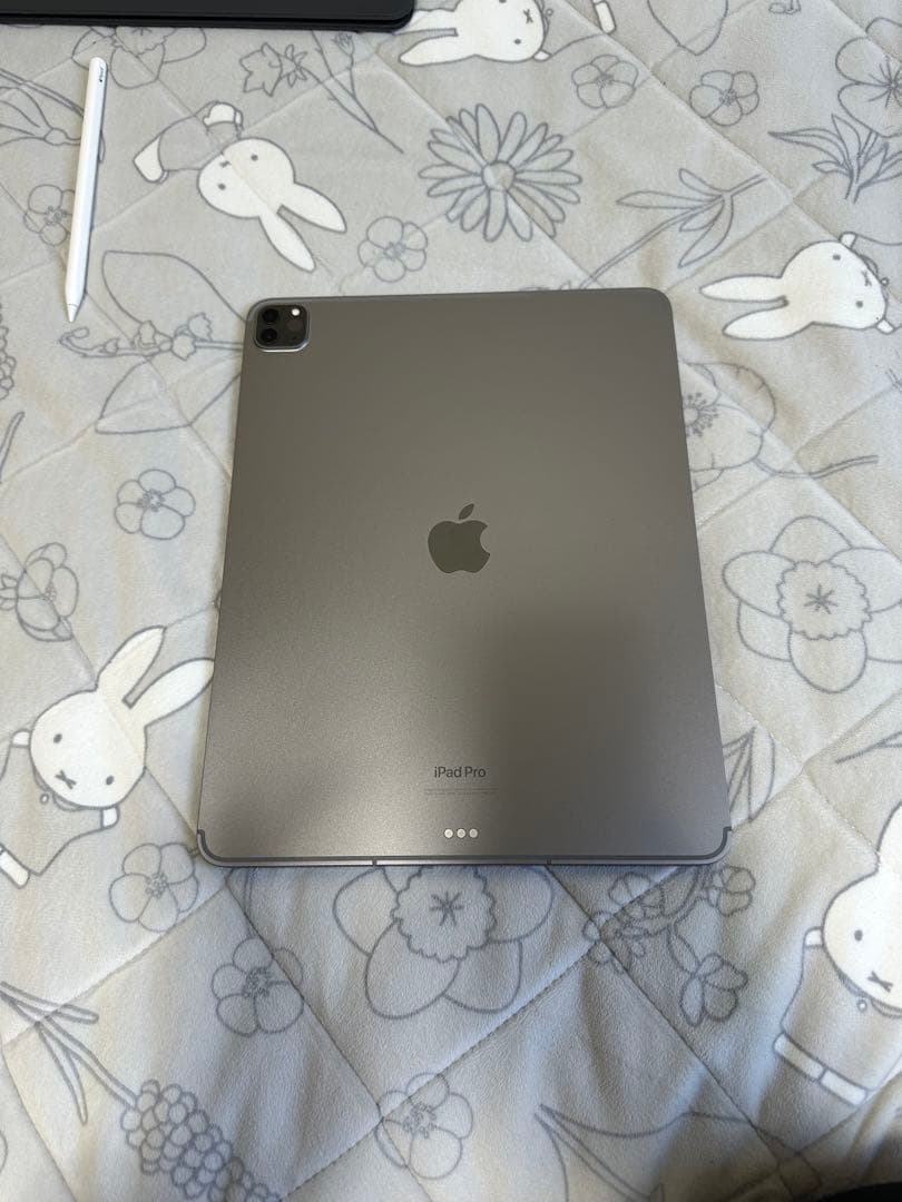 Ipad Pro12.9第6世代 2022 256GB WF+Cellular