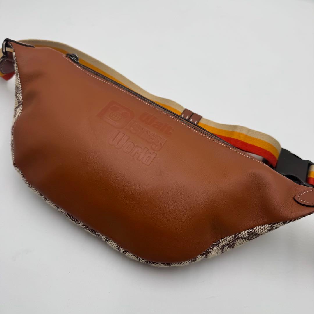 極美品✨ コーチ ディズニー 50周年 ウエストポーチ シグネチャー