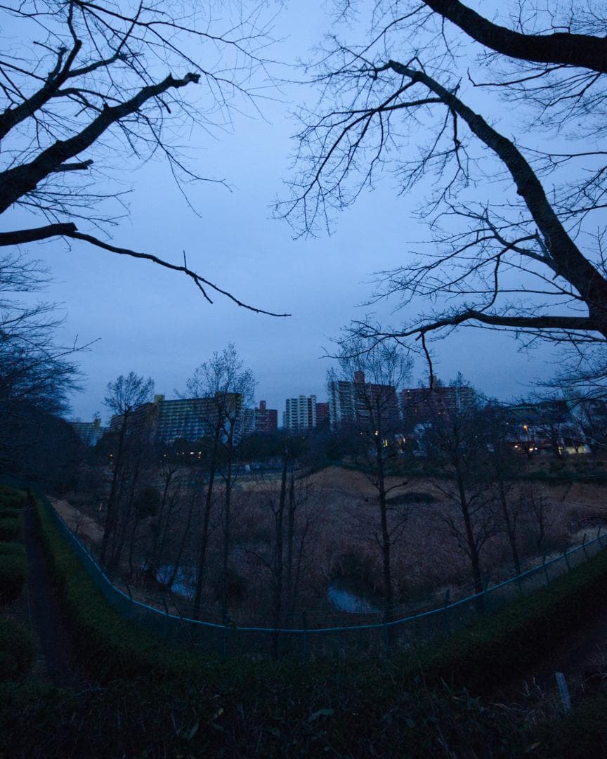 【Ryo】シグマ SIGMA 8-16mm F4.5-5.6 DC HSM