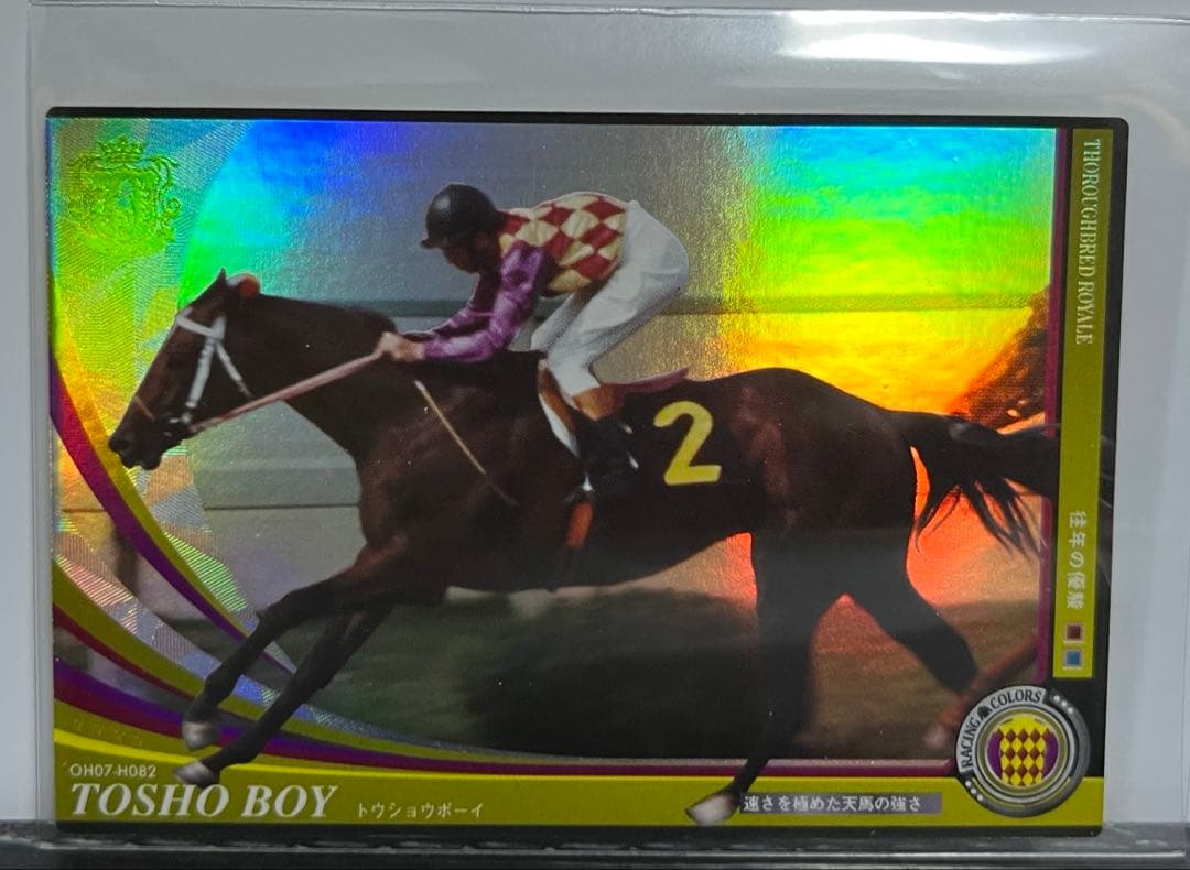 競馬カード オーナーズホース トウショウボーイ JEX ウマ娘 - メルカリ