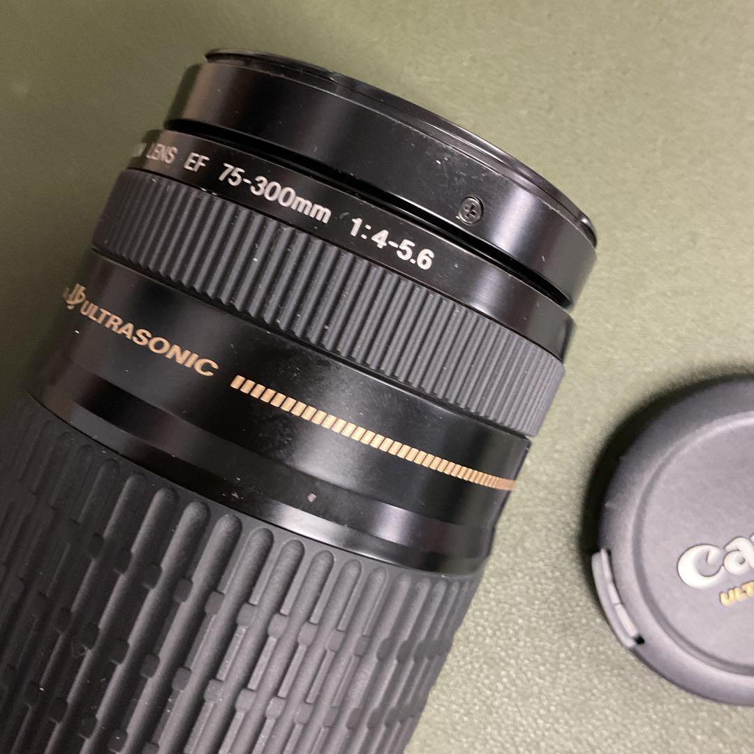 S408 Canon EF 75-300mm f/4-5.6 ズームレンズ