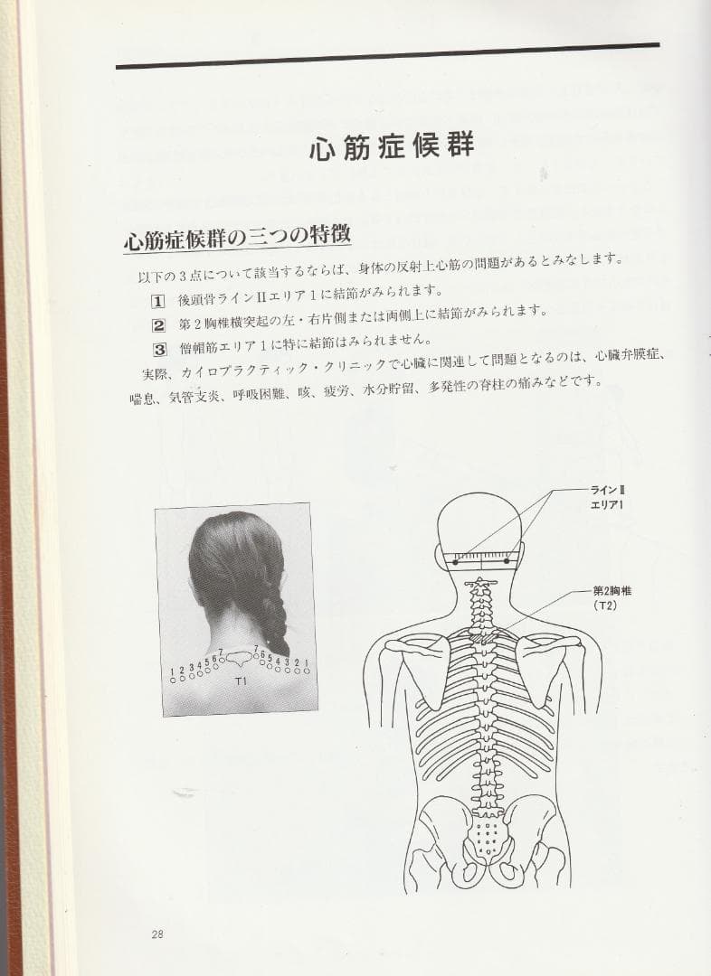 SOT 臨床家のための内臓反射テクニック（CMRT) 中島文保著 - メルカリ