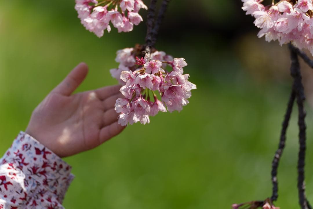 新品同様！超望遠ズーム！TAMRON 70-300mm F4.5-6.3