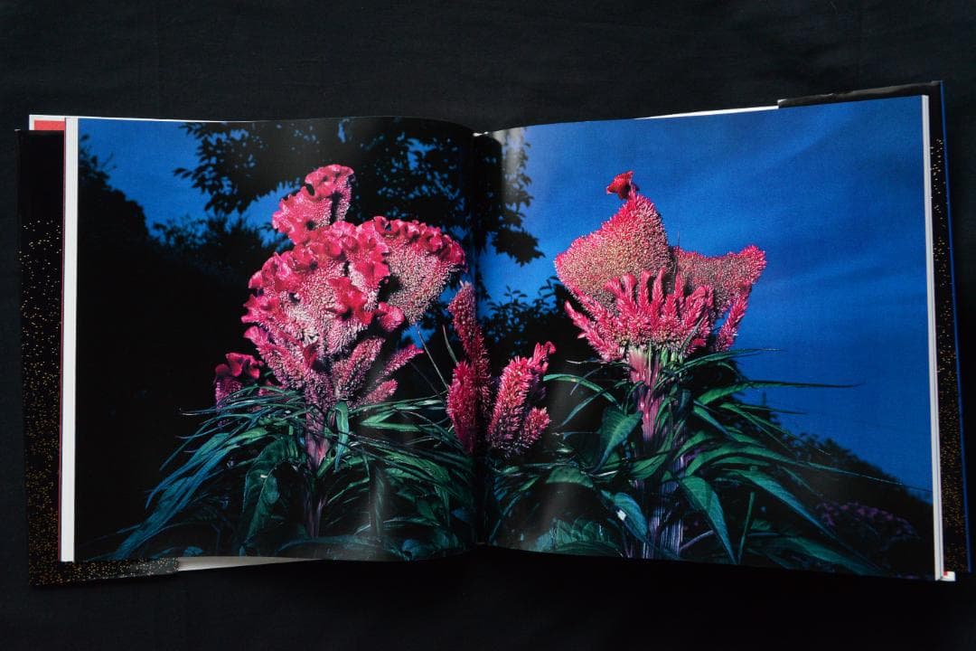 花狩】山村雅昭写真集 1998年