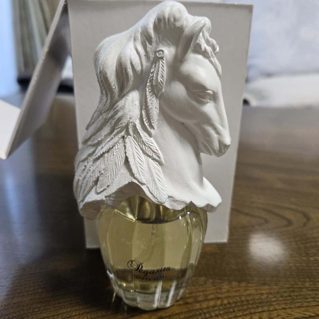 未使用 石井竜也　香水　PEGASUS