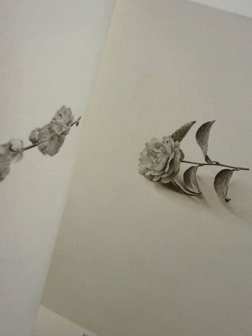 野田弘志 鉛筆・水彩画展 作品図録 - メルカリ