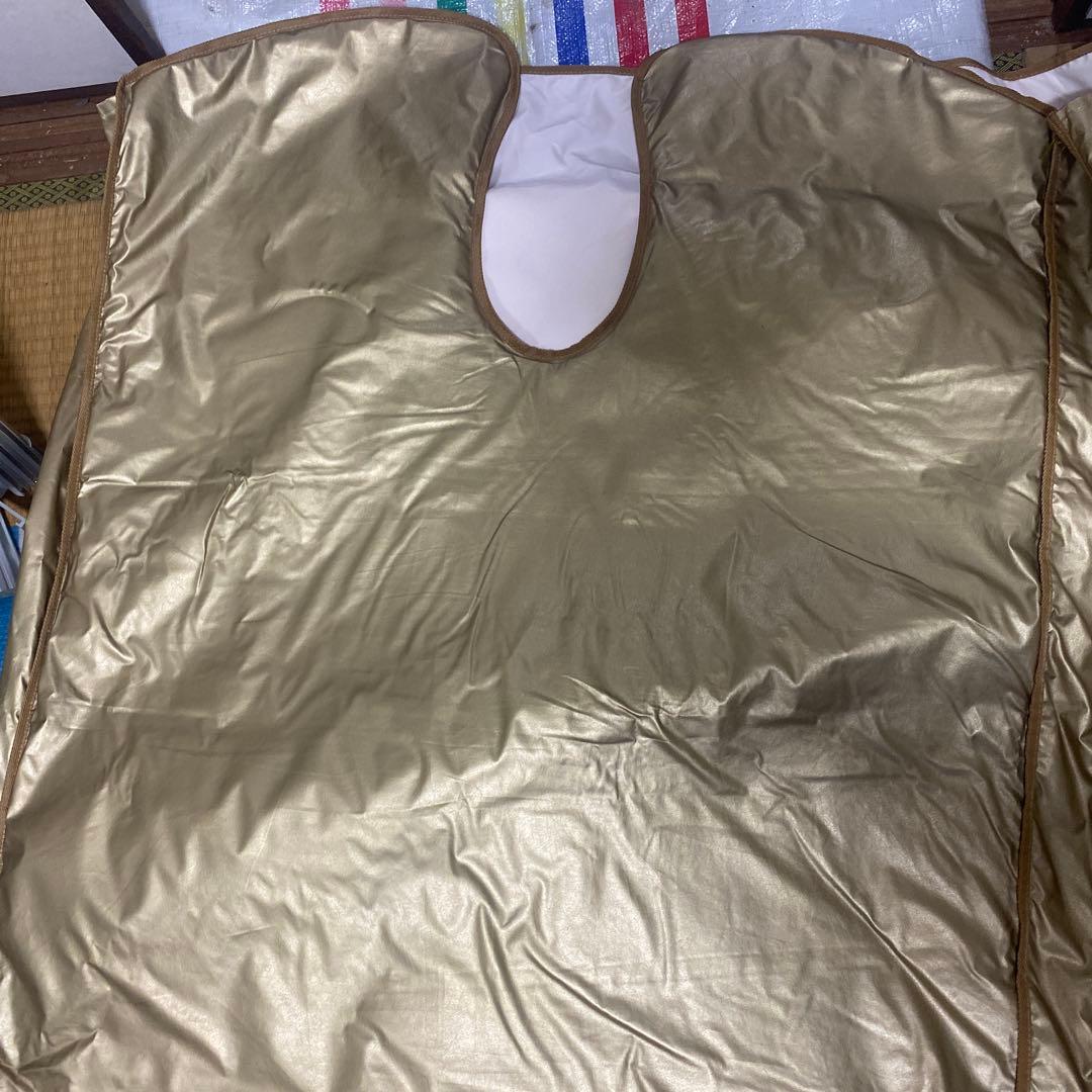 Lymph Diet ボディラップ 金色 Lypo Gold, Enzymedica – Natural Healthy Concepts