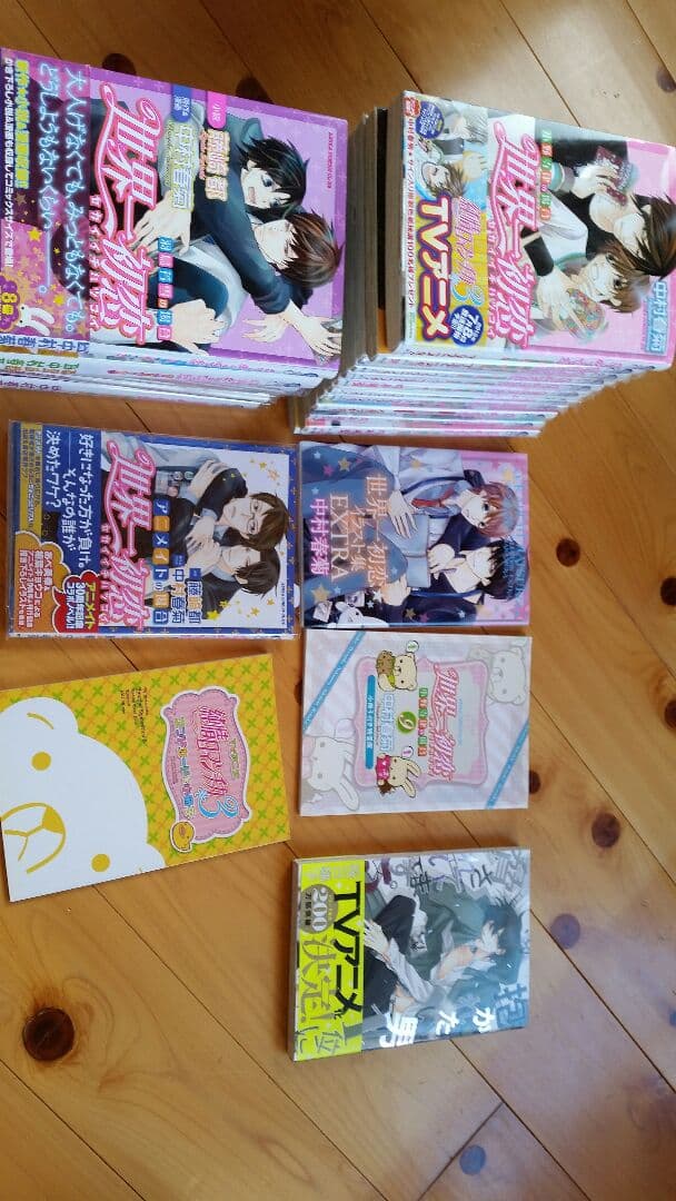 世界一初恋 Amazon.co.jp: 世界一初恋 ~小野寺律の場合17~ (あすかコミックスCL-DX