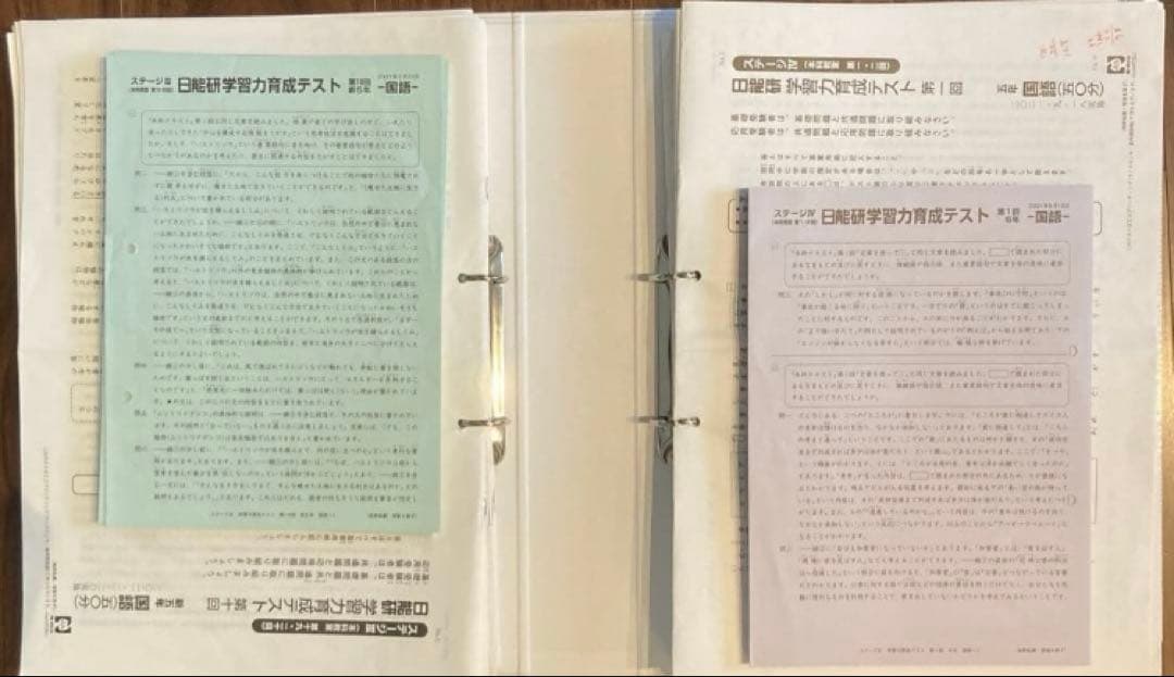 日能研　学習力育成テスト5年　1年分　2021年度 日能研 学習力育成テスト5年 1年分 2021年度 日能研 5年 2021年前期