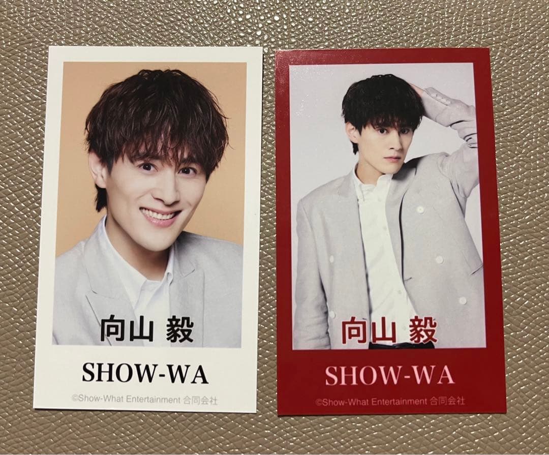 SHOW-WA 向山毅 ステッカー トレカ ぽかぽか - メルカリ