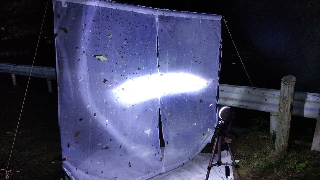 HIDライトトラップ サーチライトタイプ55W 紫外線放出加工済み