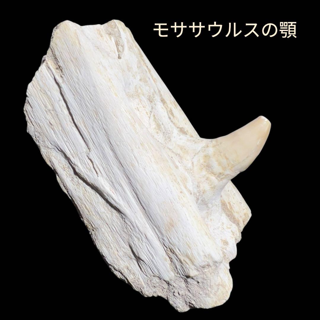 銀 ロベール・セグノー メダル 1985年製 コンテンポラリーアート