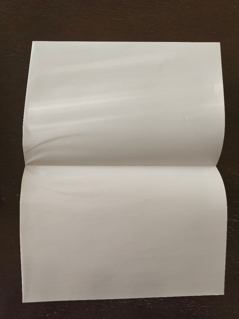 イノサンbleu 画集 坂本眞一 イラスト サイン入り 即購入の方のみ