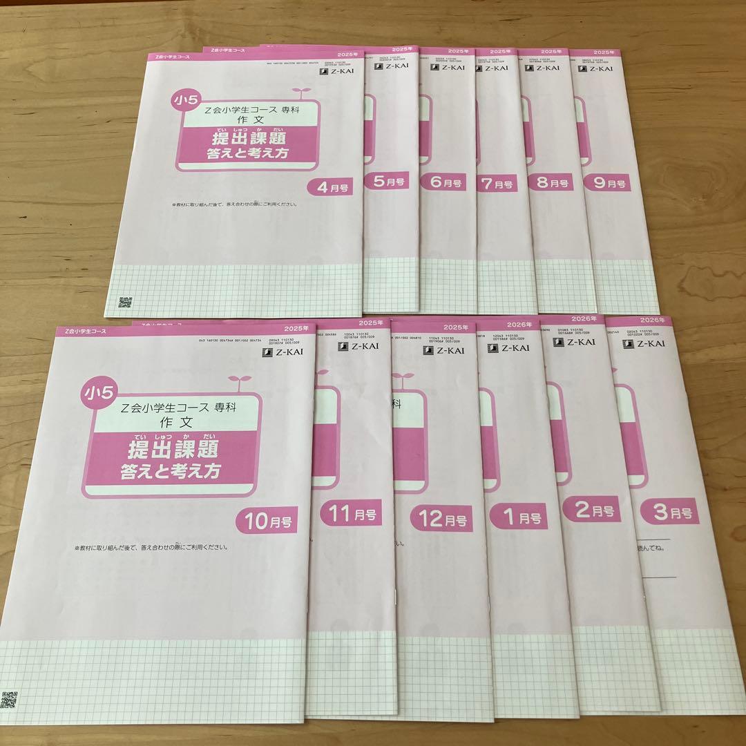 Z会 エブリスタディ 小5 公立中高一貫校適性検査 作文 1年分 問題集