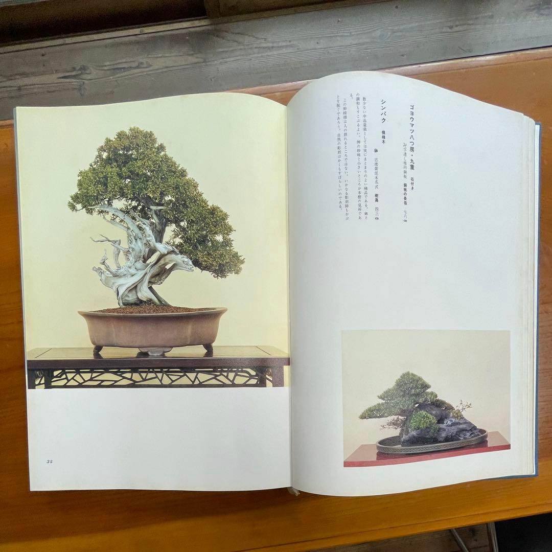 松柏盆栽大観 BONSAI MASTERPIECES OF CONIFERS - メルカリ