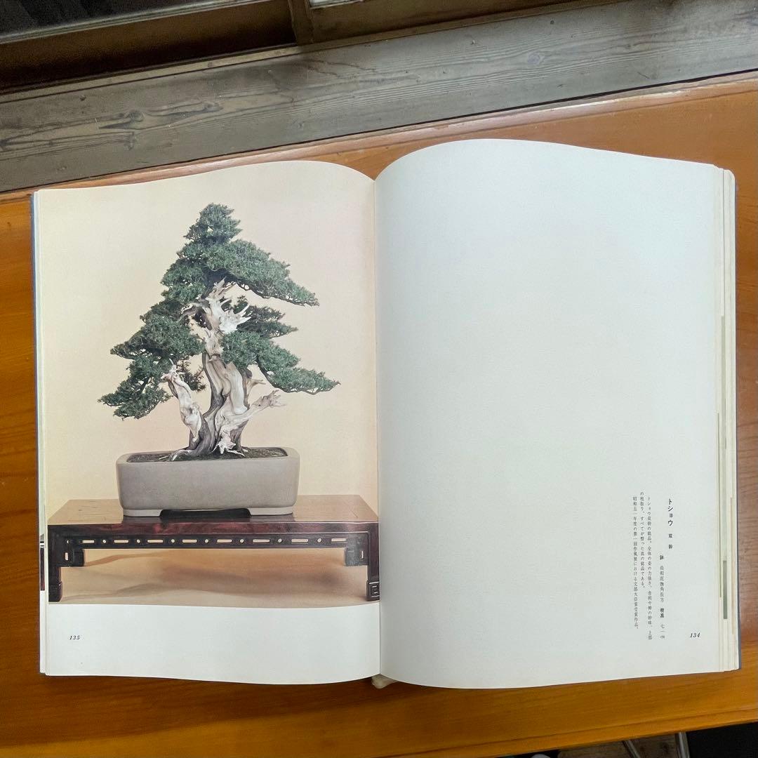 松柏盆栽大観 BONSAI MASTERPIECES OF CONIFERS - メルカリ
