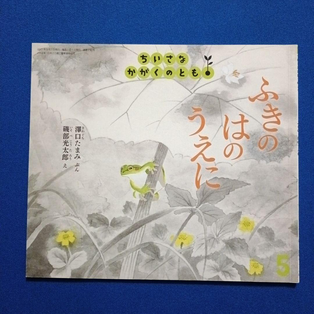 かがくのとも かなへびくんの絵本 かなへびくんとひなたぼっこ あ