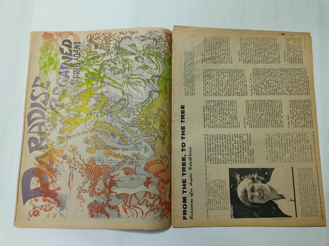 oracle オラクル1967年 ヒッピー サイケ アングラ 新聞紙 - メルカリ